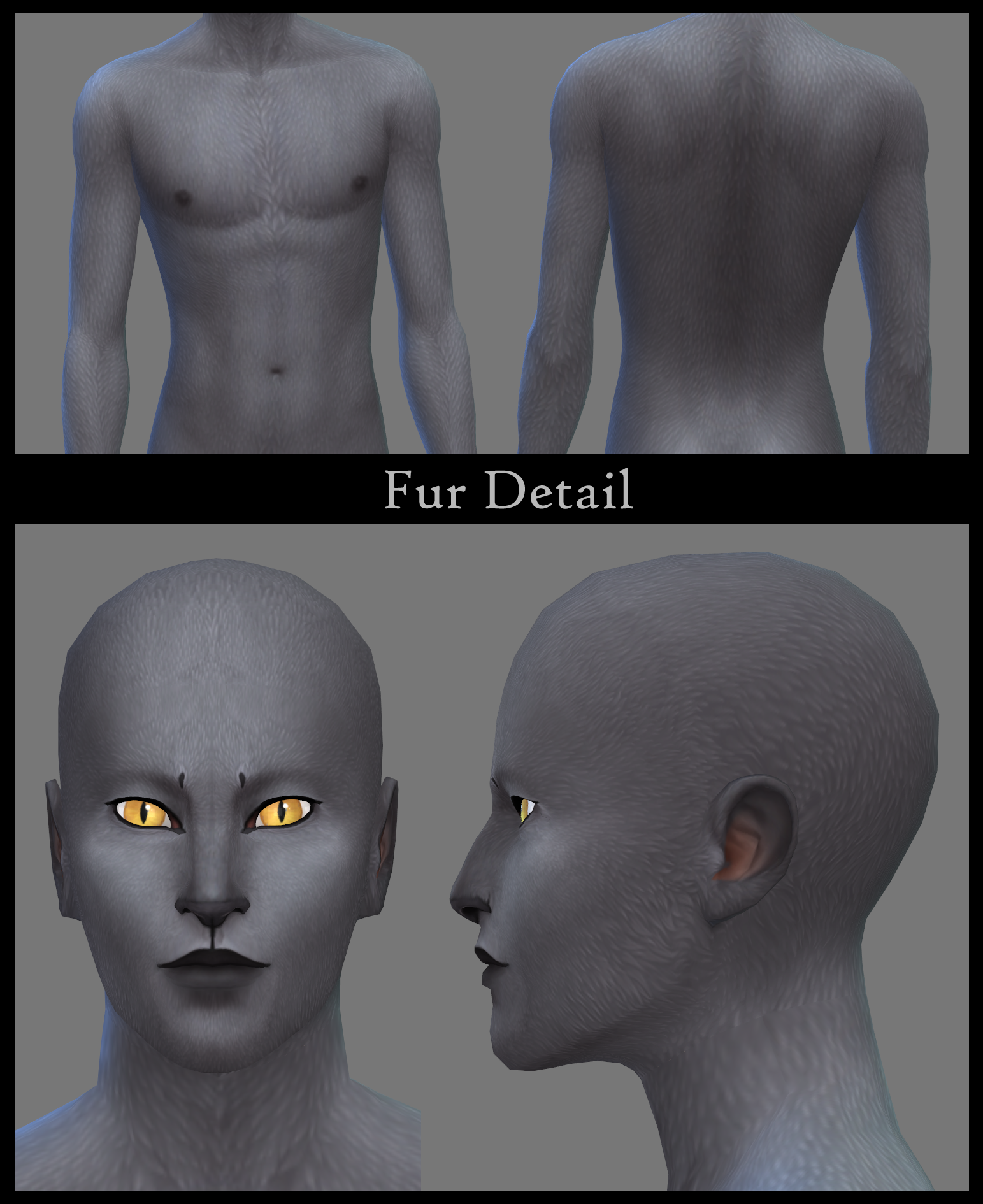 furdetail-1