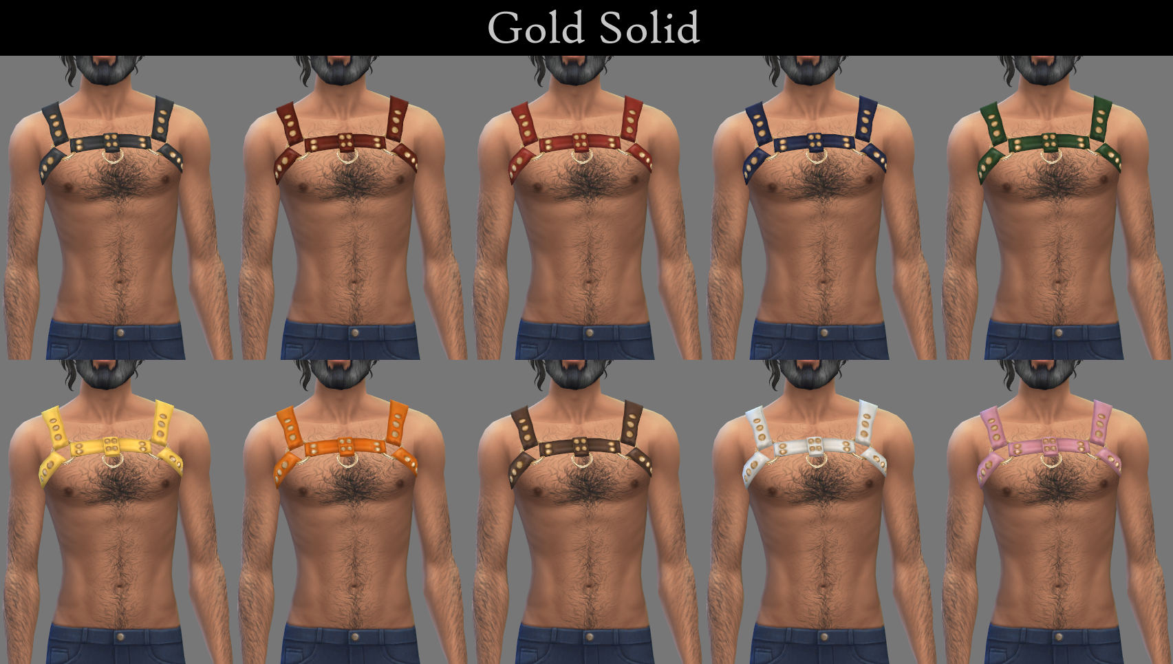 bulldog_goldsolid