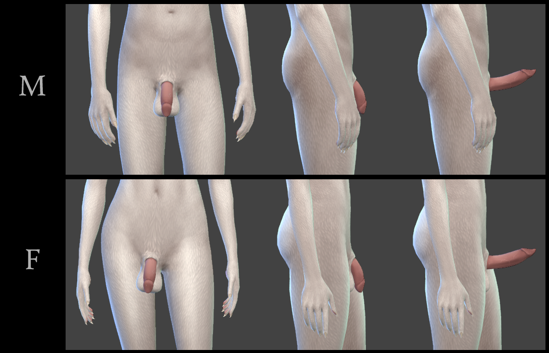 catdick_frames