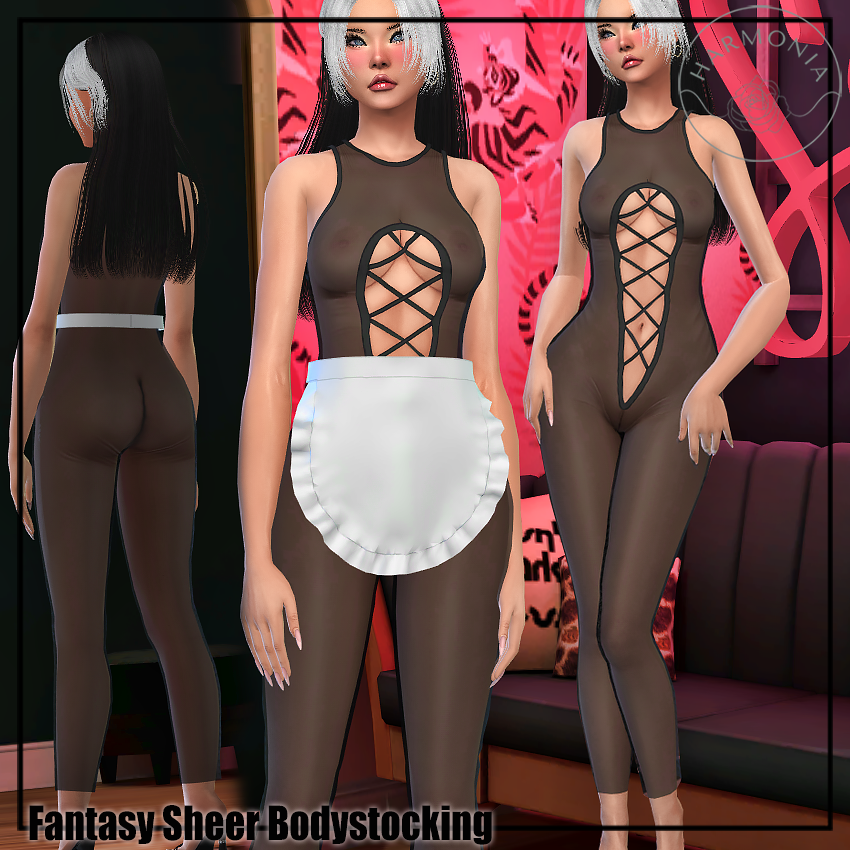 （ ͜.人 ͜.）Fantasy Sheer Bodystocking