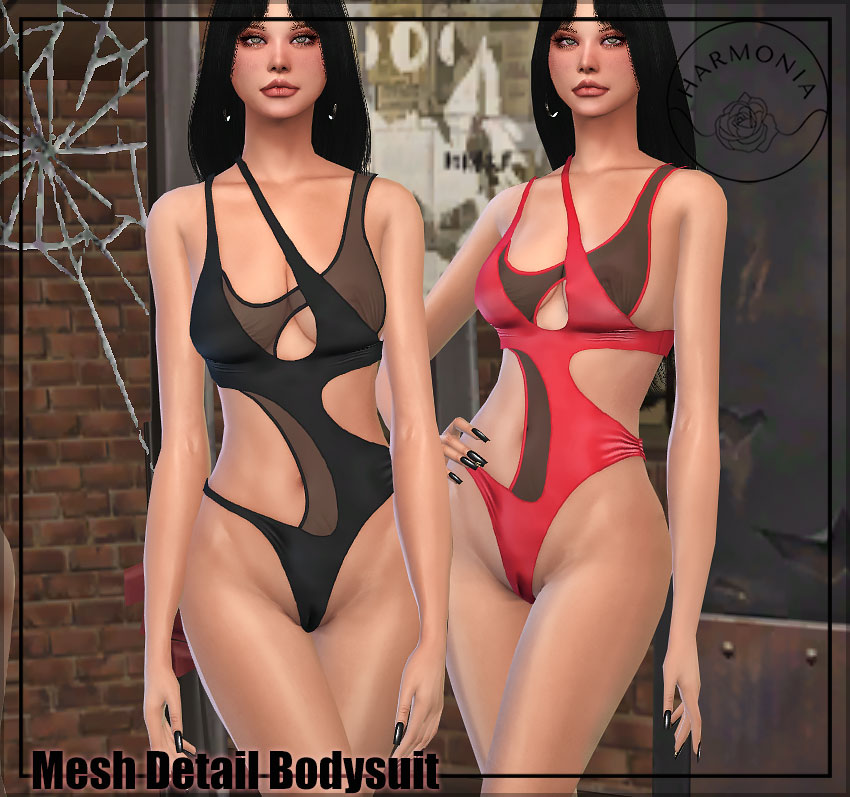 𓆩ꨄ︎𓆪Mesh Detail Bodysuit-Swimsuit𓆩ꨄ︎𓆪
