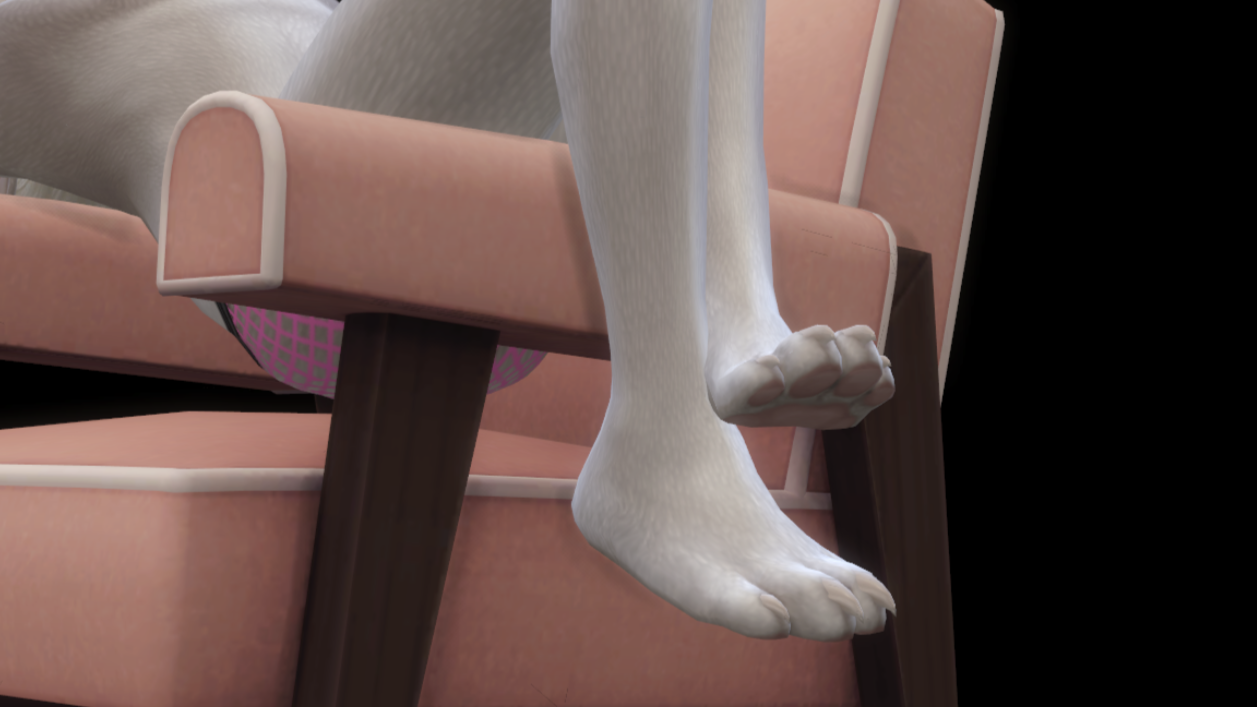 Plantigrade Paws